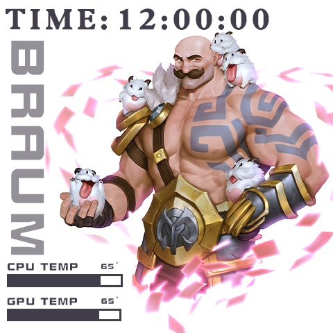 Braum(480x480)